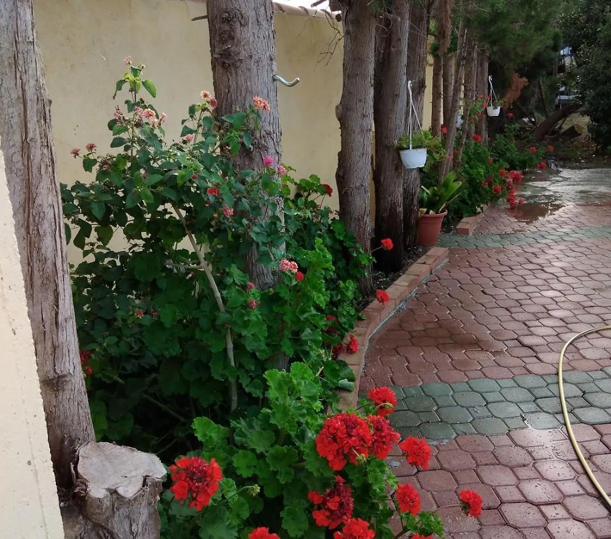 Appartamento Villa Delle Arance 300Mt Dalla Spiaggia Orosei Appartement